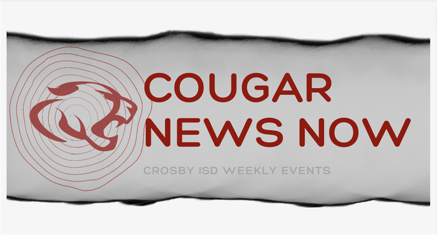  cougar news now
